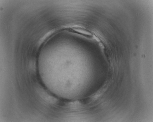 X0000076430112200610202255