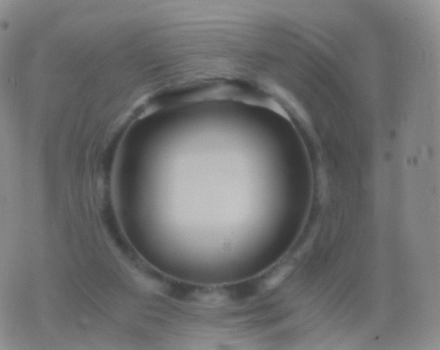 X0000076430113200610202255