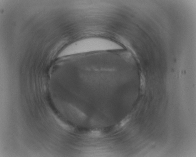 X0000076430114200610202255