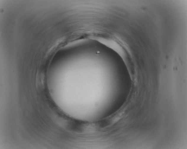 X0000076430115200610202255