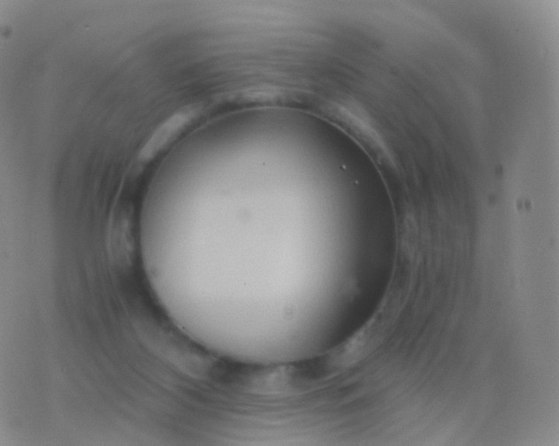 X0000076430116200610202254