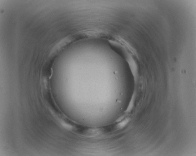 X0000076430117200610202254