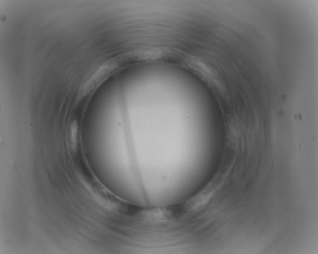 X0000076430118200610202254