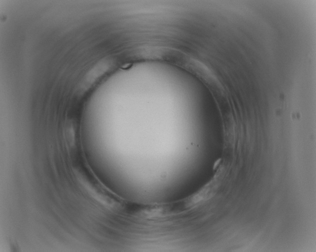 X0000076430120200610202254