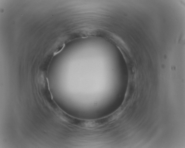 X0000076430121200610202254