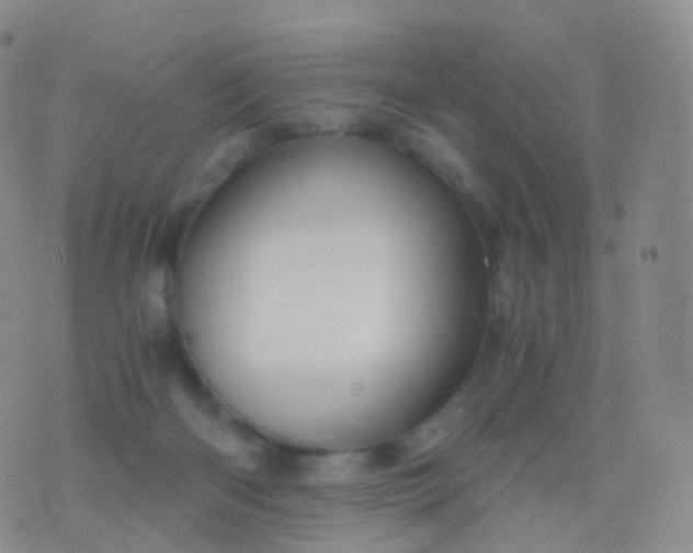 X0000076430122200610202254