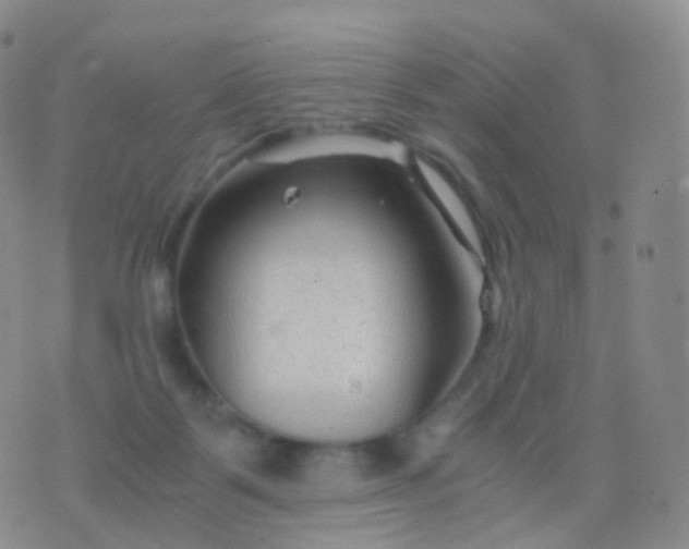 X0000076430123200610202254