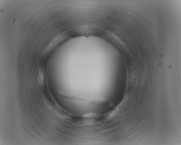 X0000076430124200610202254