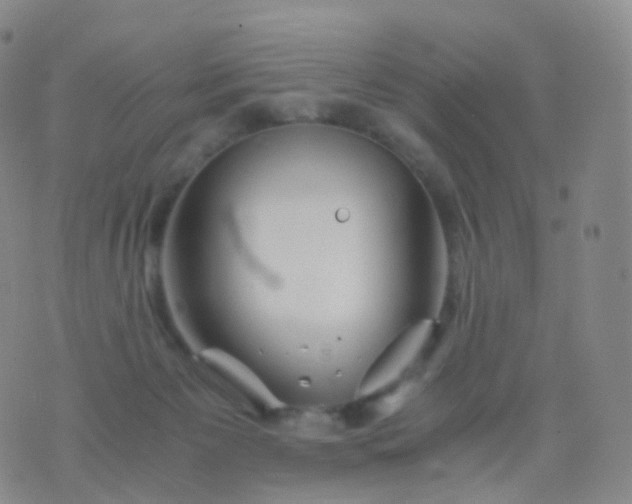 X0000076430125200610202254