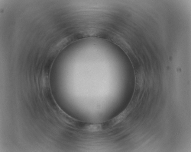 X0000076430126200610202254