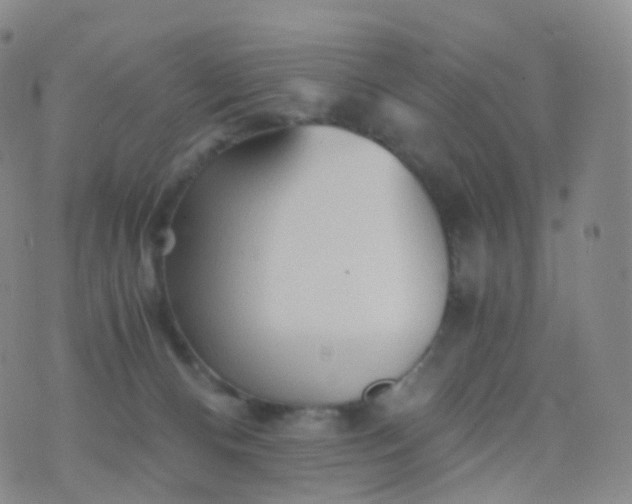 X0000076430128200610202254