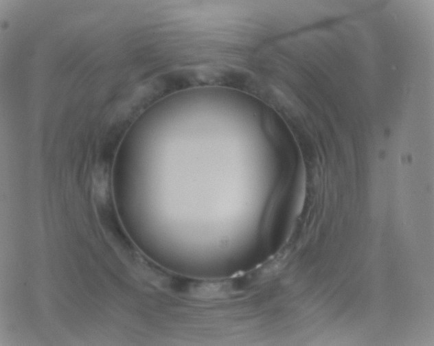 X0000076430129200610202254