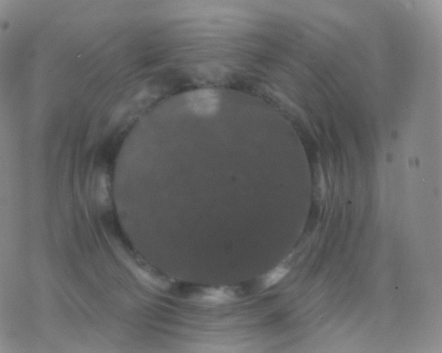 X0000076430130200610202254