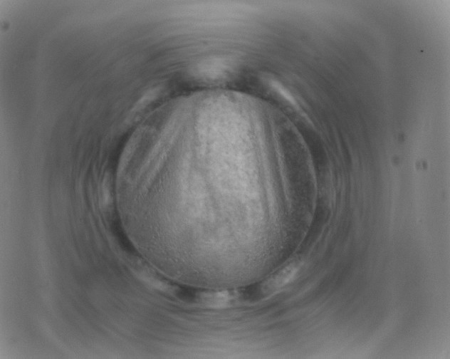 X0000076430131200610202254