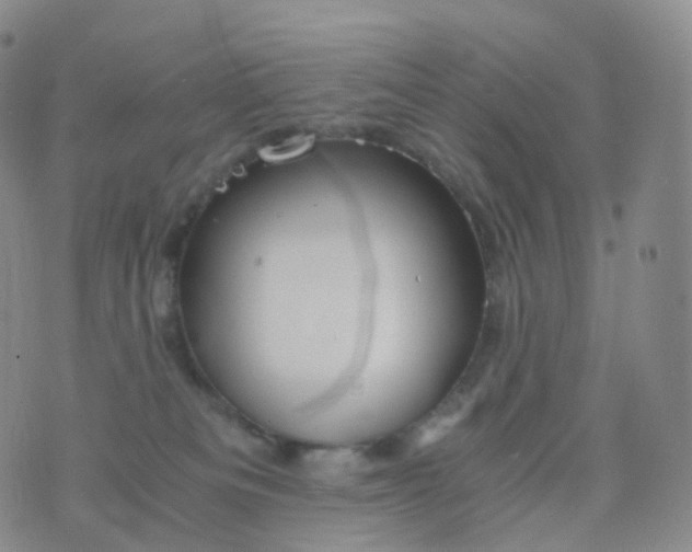 X0000076430133200610202254