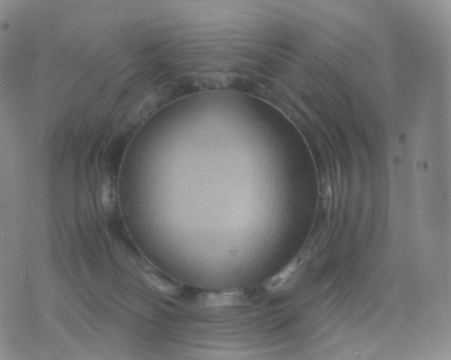 X0000076430134200610202254