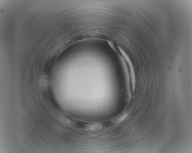 X0000076430135200610202254