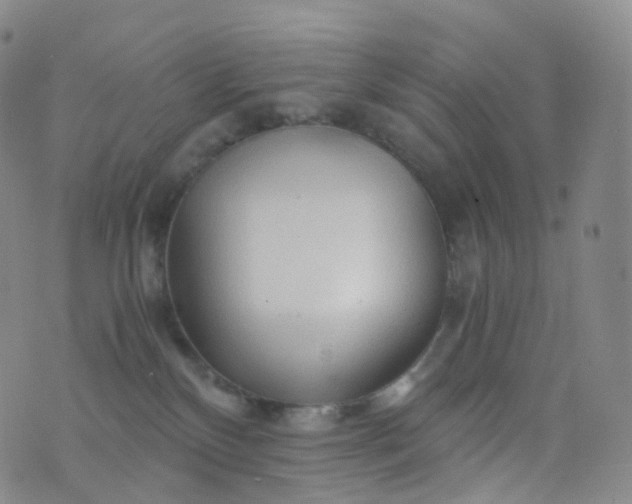 X0000076430136200610202254