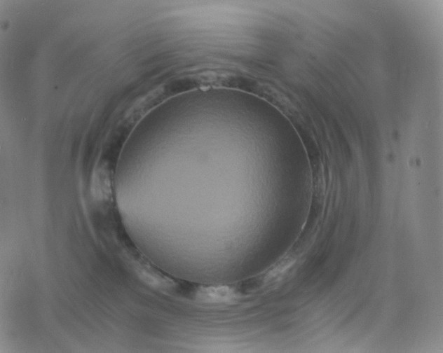 X0000076430137200610202254