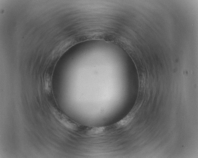 X0000076430138200610202254