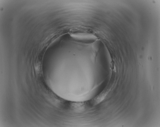 X0000076430139200610202254