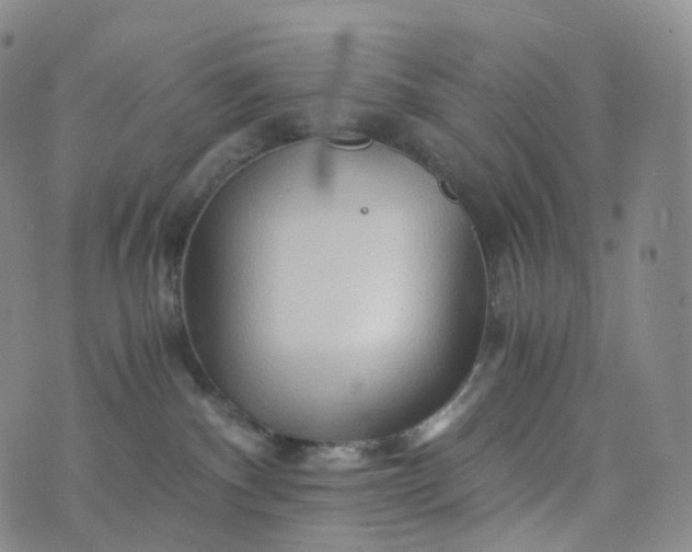 X0000076430140200610202254