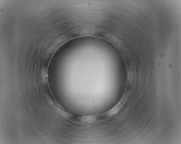 X0000076430142200610202254