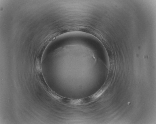 X0000076430143200610202254