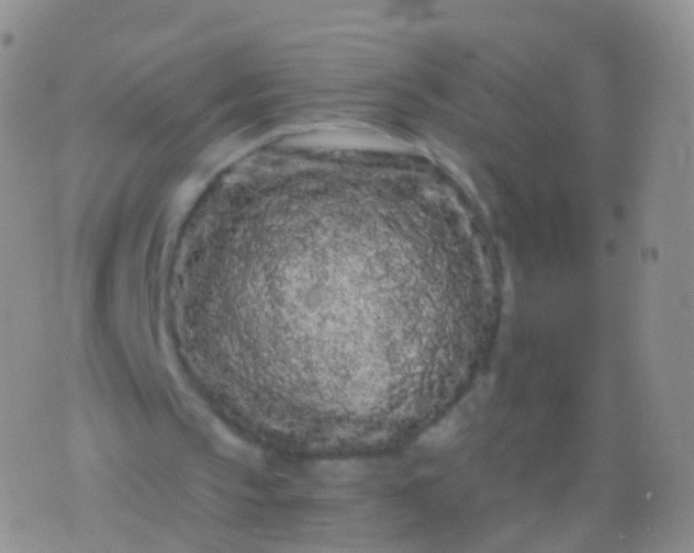 X0000076430145200610202253