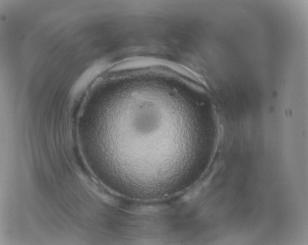 X0000076430149200610202253