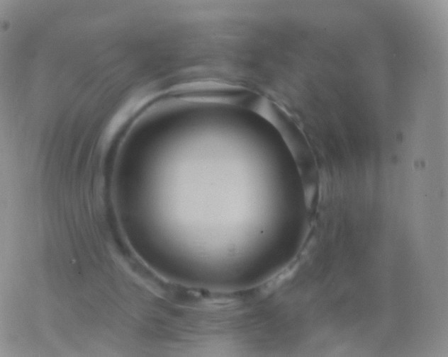 X0000076430150200610202253