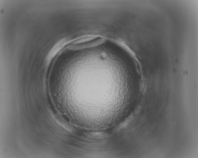 X0000076430151200610202253