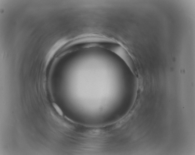 X0000076430152200610202253