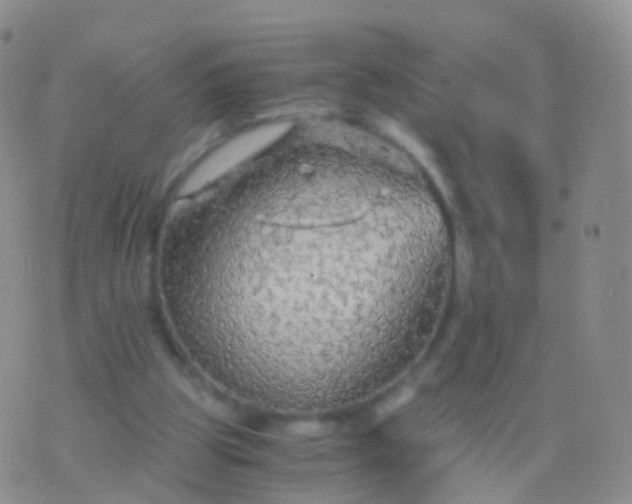 X0000076430153200610202253