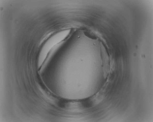 X0000076430154200610202253