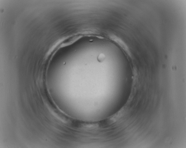 X0000076430155200610202253