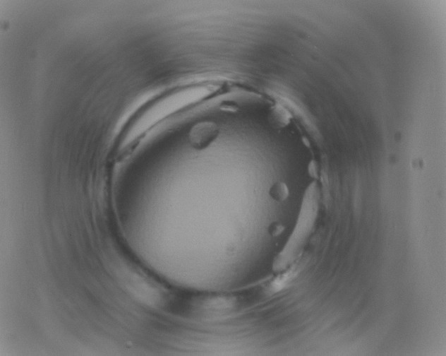 X0000076430156200610202253