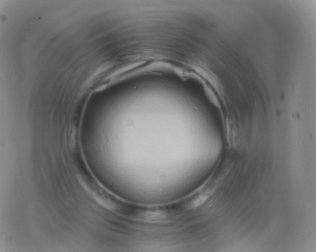 X0000076430157200610202253