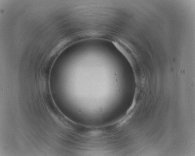 X0000076430158200610202253