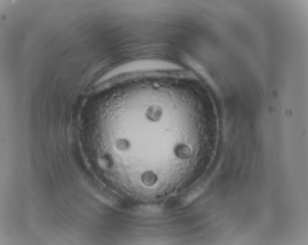 X0000076430161200610202254