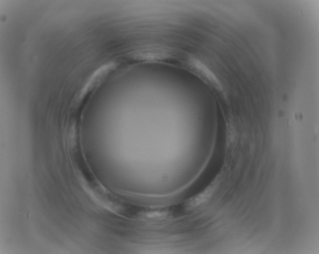 X0000076430163200610202254