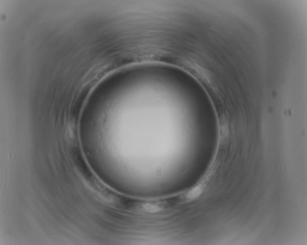 X0000076430166200610202254