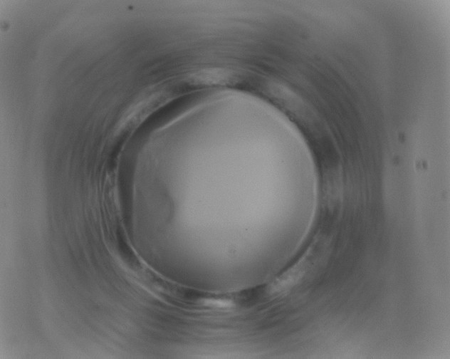 X0000076430167200610202254