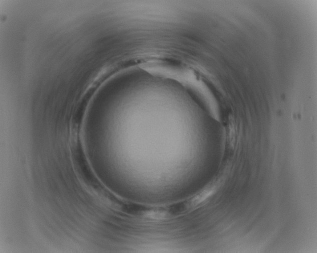 X0000076430168200610202254