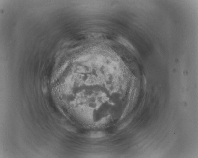 X0000076430169200610202254