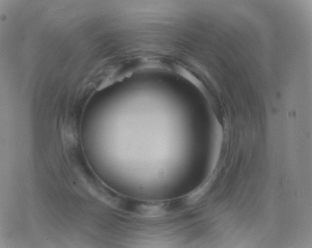 X0000076430170200610202254