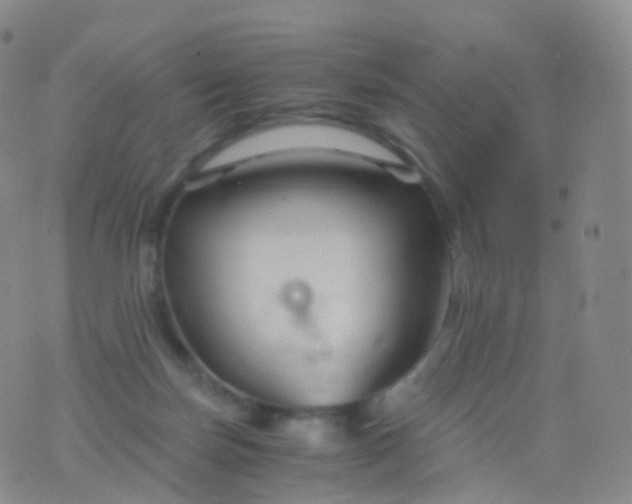 X0000076430171200610202254