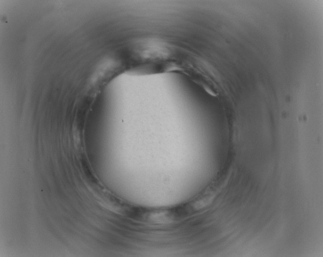 X0000076430173200610202254