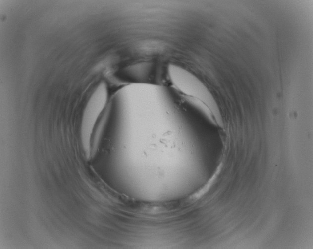 X0000076430174200610202254