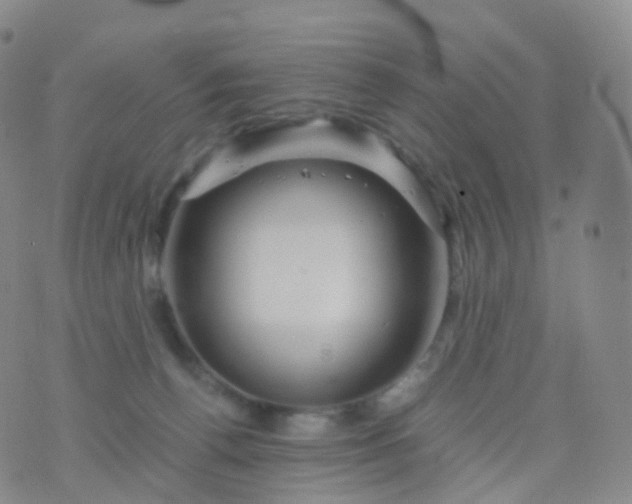 X0000076430176200610202254